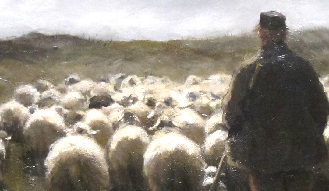 The Shepherd Teacher