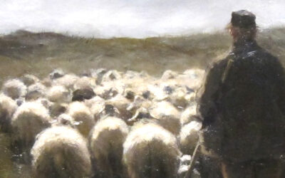The Shepherd Teacher